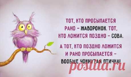 Весёлые картинки - Хорошее настроение – залог удачного дня.