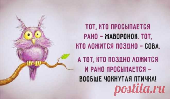 Весёлые картинки - Хорошее настроение – залог удачного дня.