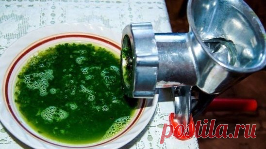 Алое, мед, кагор — эта смесь 