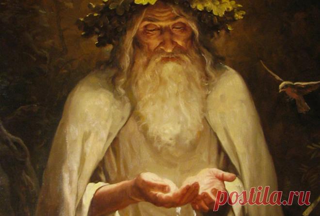 Отвар от Сибирских Ведунов для укрепления сосудов - Интересный блог Отвар на основе сочетания целебных трав поможет вам укрепить сосуды, особенно это актуально для страдающих сахарным диабетом и вегетососудистой дистонией,