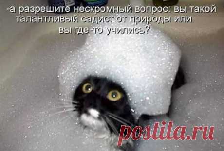 Не хотел котенок мыться,опрокинул он корытце.