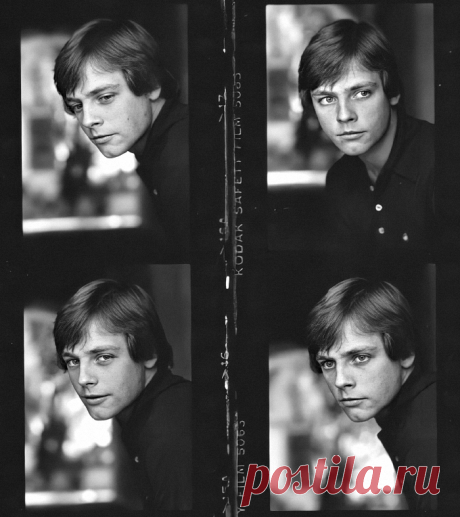 Марк Хэмилл