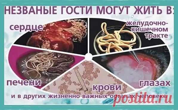 ЗАПИСКИ СЕЛЬСКОГО ФЕЛЬДШЕРА
ОРИГИНАЛЬНЫЙ СПОСОБ ЛЕЧЕНИЯ
ГЛИСТЫ, ИЗБАВЛЕНИЕ ОТ ГЛИСТОВ, ЛЕЧЕНИЕ ОТ ГЛИСТОВ)

Достаточно тщательно слежу за периодическими изданиями, особенно на
оздоровительную тему, и нигде не встречал, чтобы кто-то обменивался опытом
избавления от глистов. Между тем эта тема сегодня весьма актуальна. Ведь
куда ни глянь, антисанитария расцвела пышным цветом: на рынках, в
магазинах, в забое животных, в повседневной жизни.

Многие просто забыли, что такое гли...