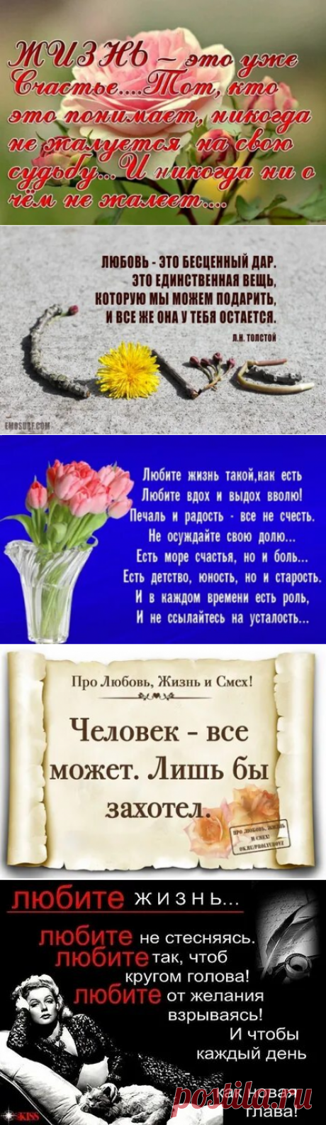 Любите жизнь! Это единственный подарок, который не получить нам дважды: 1 тыс изображений найдено в Яндекс Картинках