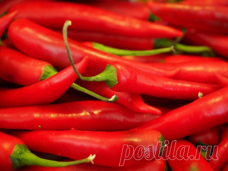10 продуктов, которые в несколько раз ускорят ваш метаболизм