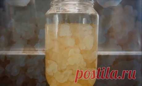 Готовим вкусный рисовый квас, который поможет от боли в спине и остеохондроза! Избавилась от давней проблемы!