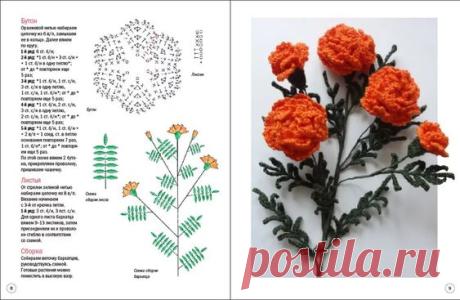 (1079) Pinterest