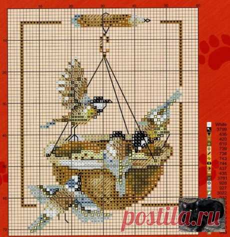 Gallery.ru / Фото #11 - Птицы на 1 листе - berbera53