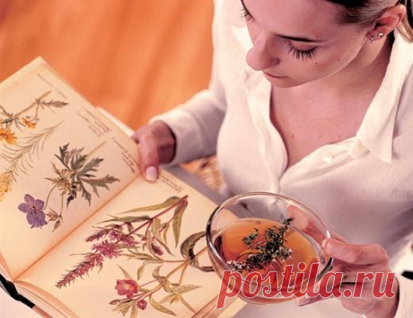 ФИТОТЕРАПИЯ ДЛЯ ГИПЕРТОНИКОВ.jpg (520×400)