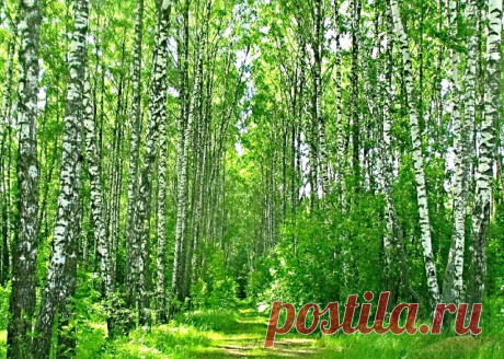 (27) Одноклассники