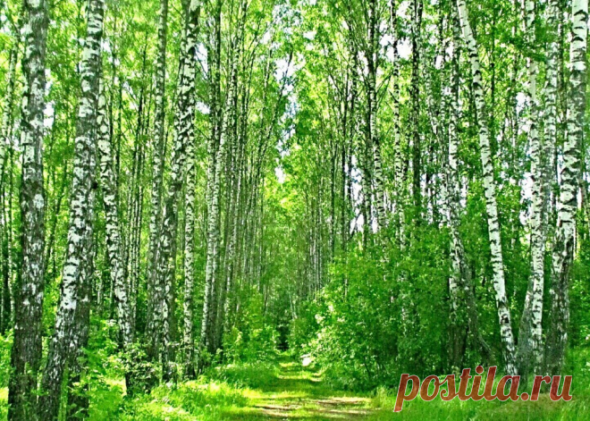 (27) Одноклассники