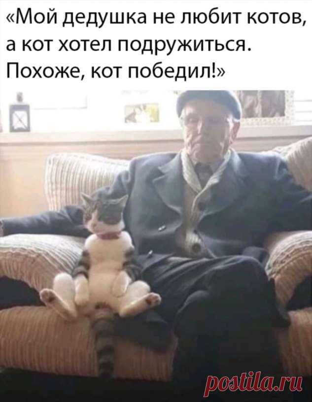 Подборка фото-приколов и картинок с надписями (38 шт) . Тут забавно !!!