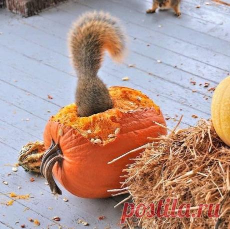 Пин на доске FALL 9/24/24