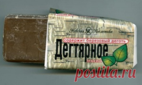 Дегтярное мыло. Почему оно должно быть в каждом доме