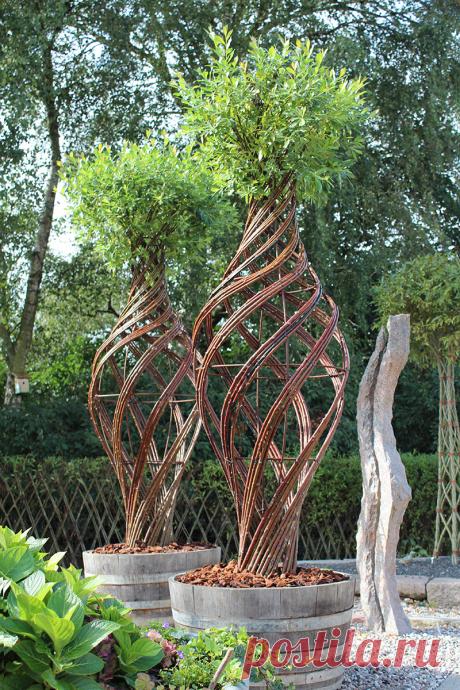 Плетение из лозы