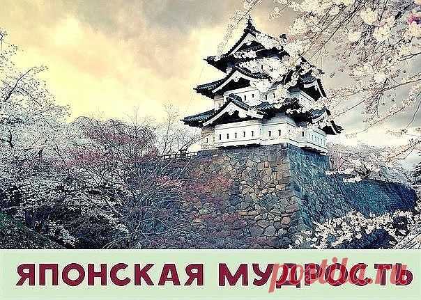 (1) Одноклассники