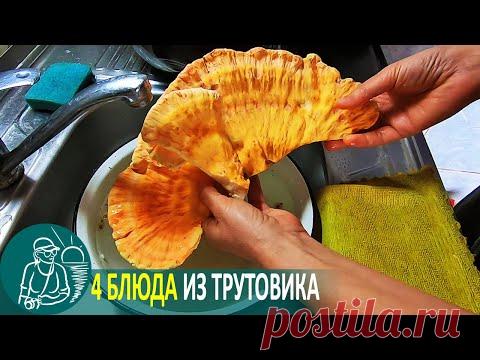4 блюда из трутовика серно-желтого и заморозка.
0:14 - Сбор грибов в лесу.
2:19 - Промываем и обрабатываем грибы.
4:15 - Обжариваем грибы сразу на три блюда.
4:58 - Первое блюдо — трутовик серно-желтый жареный с луком.
6:08 - Второе блюдо — трутовик серно-желтый с сыром в лаваше.
8:28 - Третье блюдо — трутовик серно-желтый с луком и чесноком жареный в сметане.
9:44 - Четвертое блюдо —трутовик серно-желтый маринованный.
10:49 - Замораживаем отваренные грибы.