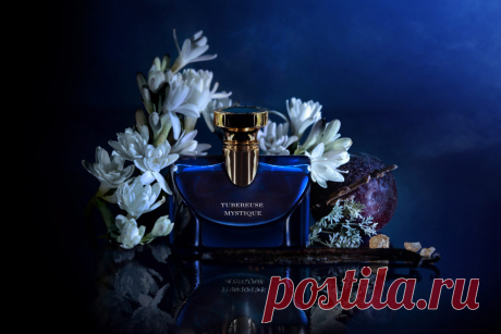 Дом Bvlgari представил новый аромат Splendida Tubereuse Mystique | Antenna Daily Splendida Tubereuse Mystique, новый аромат в коллекции Splendida Bvlgari, был представлен на блистательной Вилле Пиццо с видом на озеро Комо. Подобно мистичному цветку туберозы, раскрывающемуся под покровом ночи, Дом Bvlgari показал Splendida Tubereuse Mystique в вечерних сумерках. Вот так говорит о аромате сам создатель : «Тубероза – великолепный цветок, насыщенный и многогранный. Обманчиво белая, Tubereuse …
