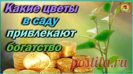 Вот какие растения посаженные в саду, привлекают богатство Народные приметы для сада и огорода