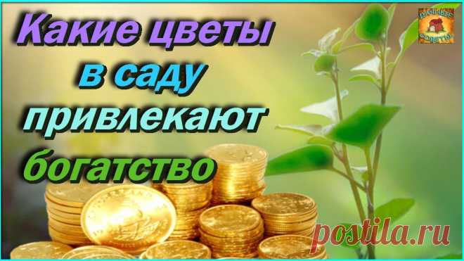 Вот какие растения посаженные в саду, привлекают богатство Народные приметы для сада и огорода