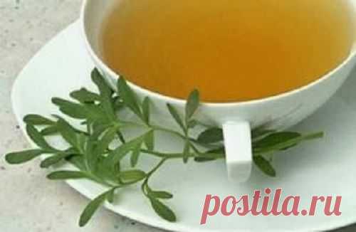 9 hierbas para tranquilizar los nervios y la ansiedad - Mejor Con Salud