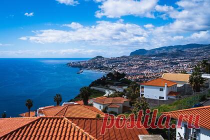 Россиянам рассказали об особенностях въезда на лучший остров Европы. Португалия возобновила прием документов на туристические визы для россиян, планирующих отправиться на остров Мадейра — признанный лучшим местом для пляжного отдыха в Европе. Как рассказали эксперты, подать документы смогут только те туристы, которые купили прямые авиабилеты до Мадейры.