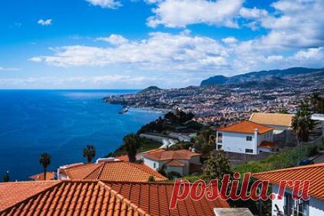 Россиянам рассказали об особенностях въезда на лучший остров Европы. Португалия возобновила прием документов на туристические визы для россиян, планирующих отправиться на остров Мадейра — признанный лучшим местом для пляжного отдыха в Европе. Как рассказали эксперты, подать документы смогут только те туристы, которые купили прямые авиабилеты до Мадейры.