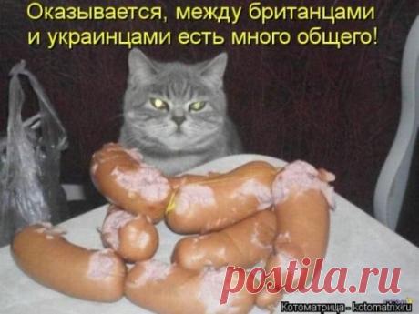 Мысли вслух :)