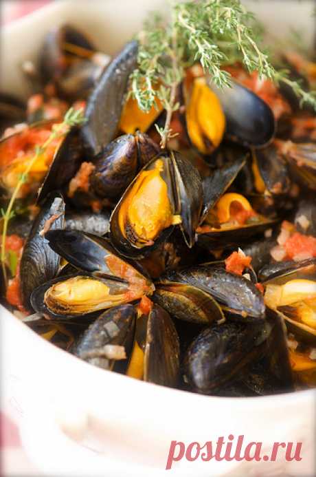 Moules a la provencale. Мидии - Ника Белоцерковская
