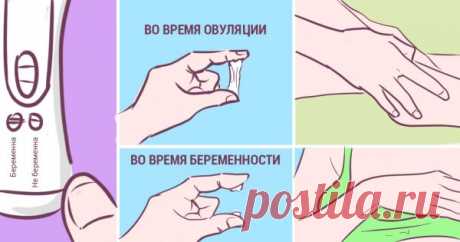 Первые признаки беременности, о которых известно далеко не всем! 
В жизни женщины рано или поздно наступает такой момент, когда хочется поскорее узнать о своем интересном положении. Но в первые дни после зачатия срок довольно мал, чтобы проводить точную диагностику…