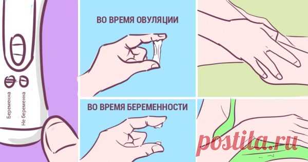 Первые признаки беременности, о которых известно далеко не всем! 
В жизни женщины рано или поздно наступает такой момент, когда хочется поскорее узнать о своем интересном положении. Но в первые дни после зачатия срок довольно мал, чтобы проводить точную диагностику…