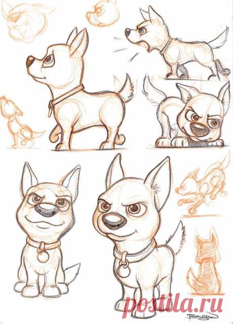 Cute Dog Sketches on Behance