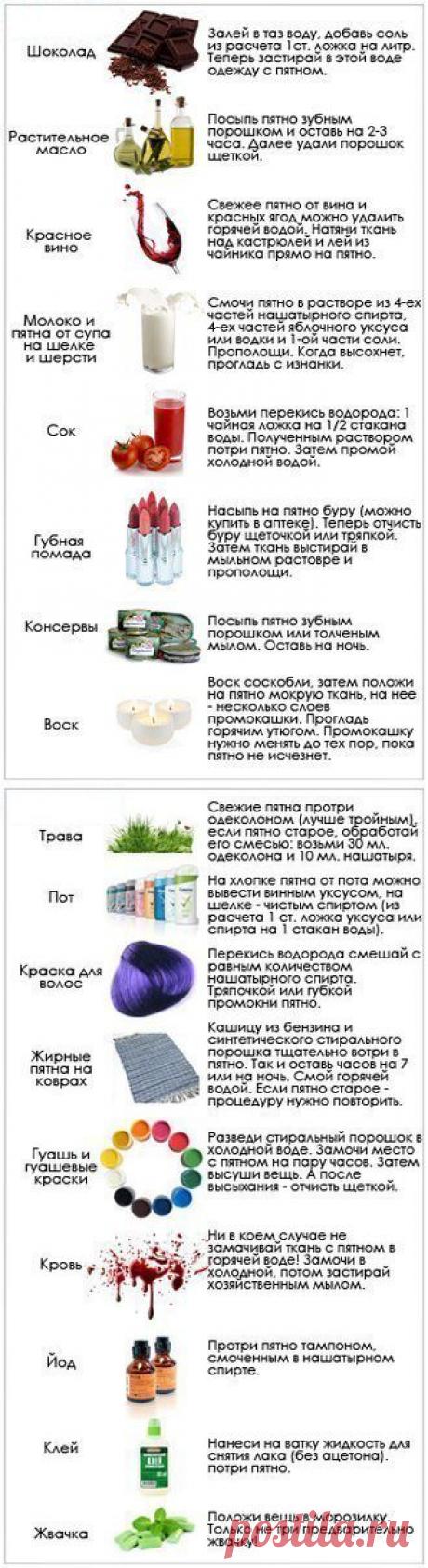 Как и чем выводить пятна | Хитрости Жизни