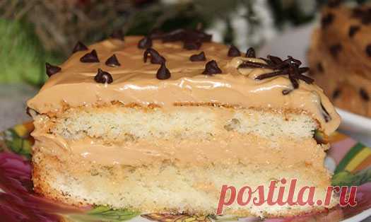 Бисквитный торт — Домашняя кулинария