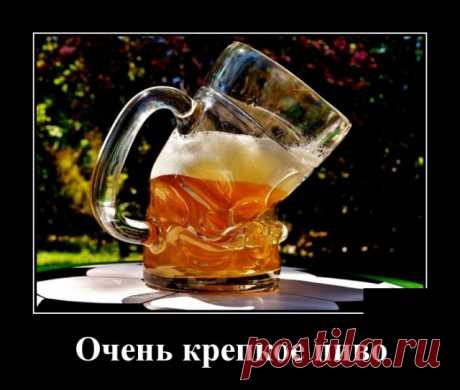 Демотиваторы №2175 (30 фото) Свежая ежедневная подборка фото приколов, смешных картинок и просто красивых и удивительных фотографий в ежедневной подборке, собранной со всего интернета.