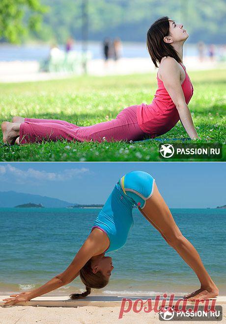 Комплекс из 5 асан для начинающих учеников | Айенгар-йога | passion.ru