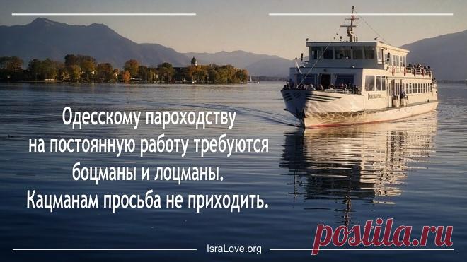 15 угарных еврейских анекдотов Почему чай можно заваривать только шесть раз, зачем к врачу приходила Сара, для чего Боре уши, почему Абраму нужно учиться и секрет мудрости от Якова