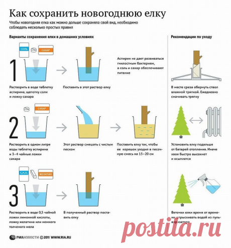 как сохранить елку!