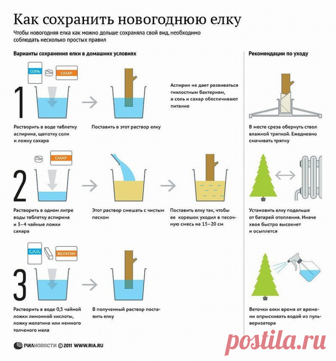 как сохранить елку!