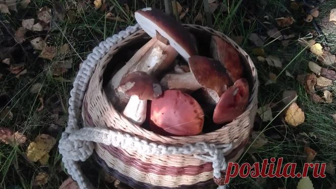 Отличная корзина из бумажной лозы с отличными благородными грибами