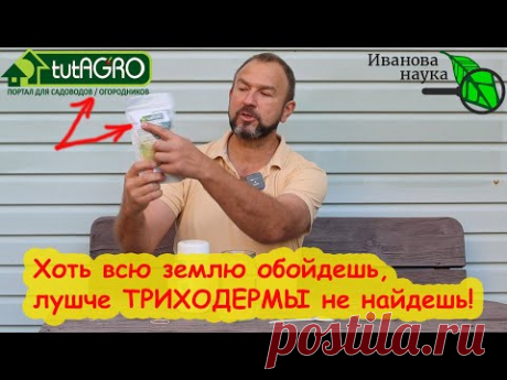 КАК ВЫРАСТИТЬ ТРИХОДЕРМУ ИЗ ЗАКВАСКИ ТРИХОДЕРМА MIX. По шагам, признаки готовности и сроки годности.