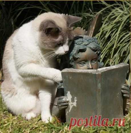 интересненькая книжка