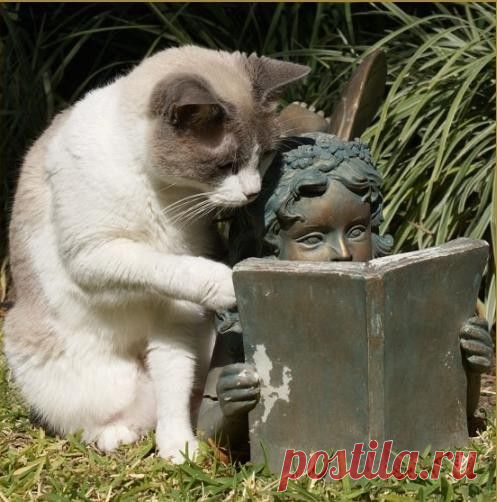 интересненькая книжка