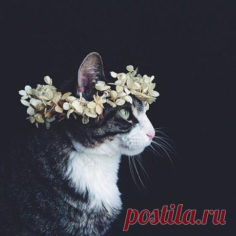 (3) Facebook