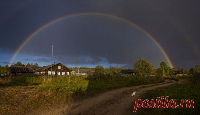 Золотое ноябрьское солнце. Кириллов.. Фотограф Наталия Колтакова