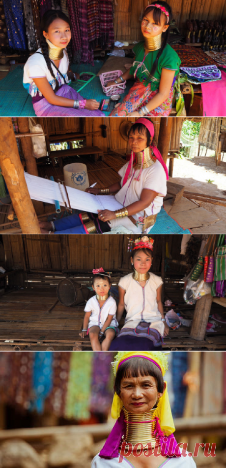 Длинношеее рабство / Путешествия / Моя Планета