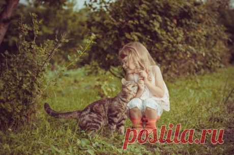 Коты, которые действительно любят детей