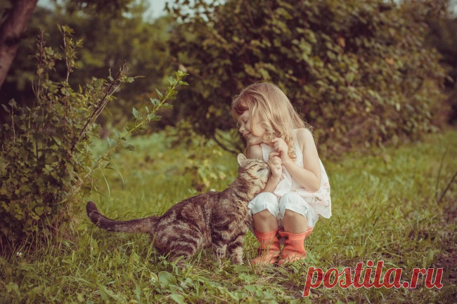 Коты, которые действительно любят детей