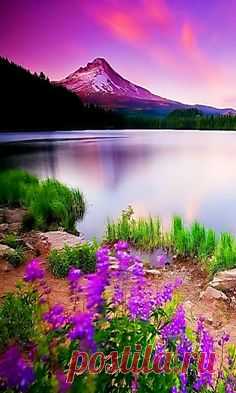 (3) Pinterest • The world’s catalog of ideas