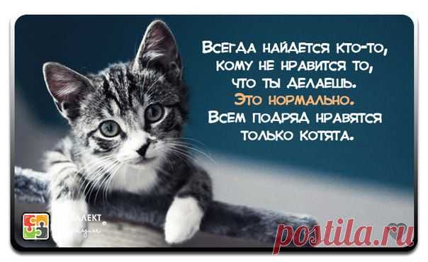 умные мысли